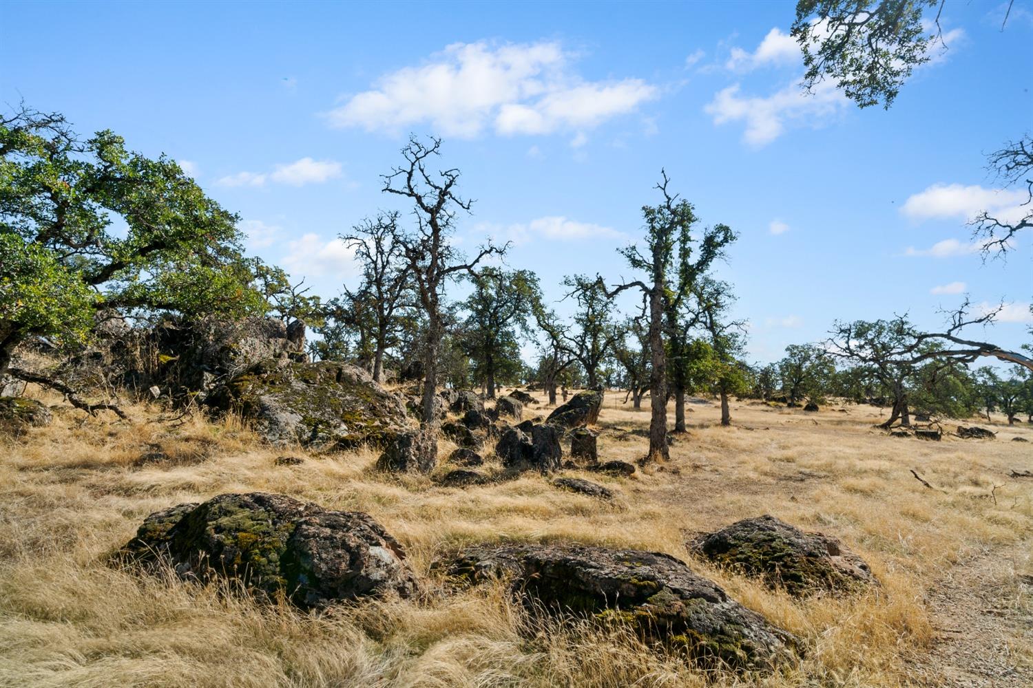 Hammonton Bluff Parcel 8, Smartsville, California image 42