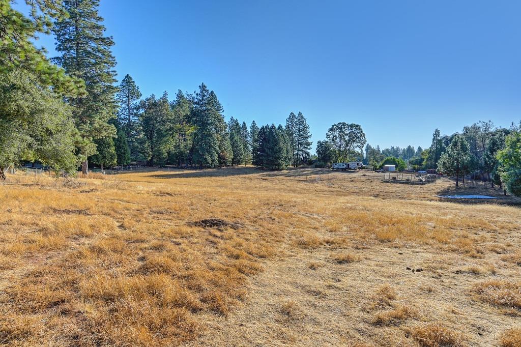 Shake Ridge Road, Volcano, California image 30