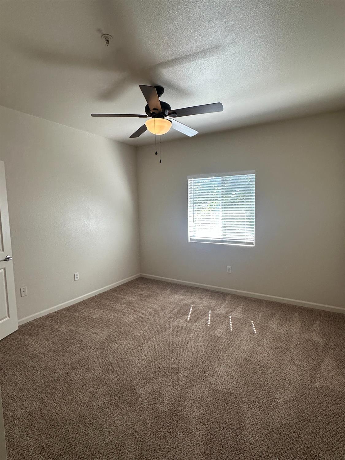 Photo #18: 225055476 Listing: Photo #18