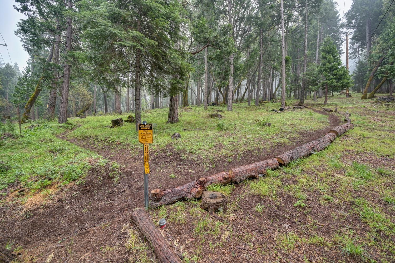 Sierra Springs Drive, Pollock Pines, California image 40
