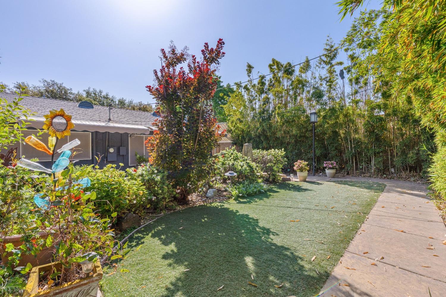Butternut Drive, Citrus Heights, California image 23