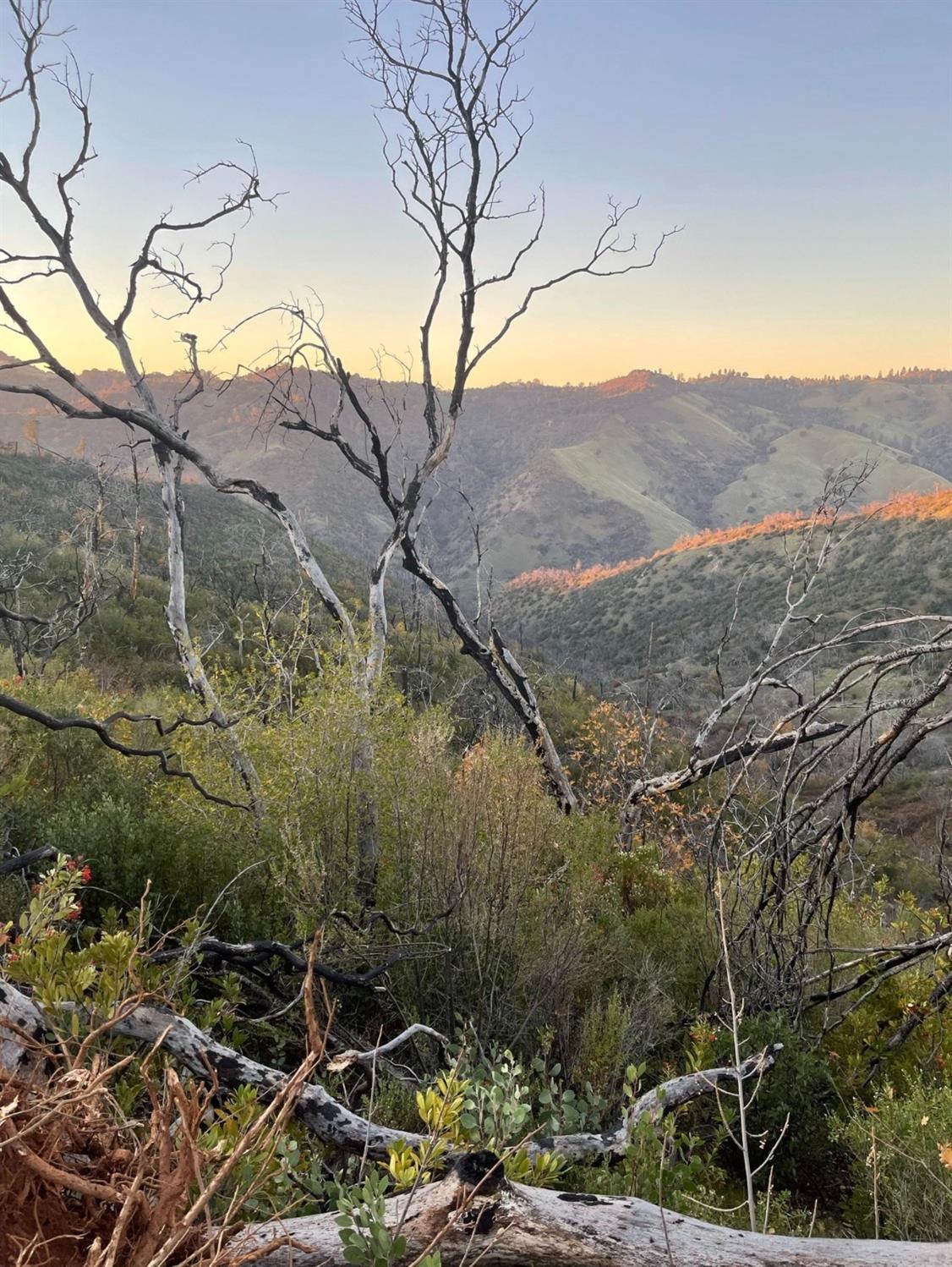 Montgomery Drive, Mokelumne Hill, California image 3