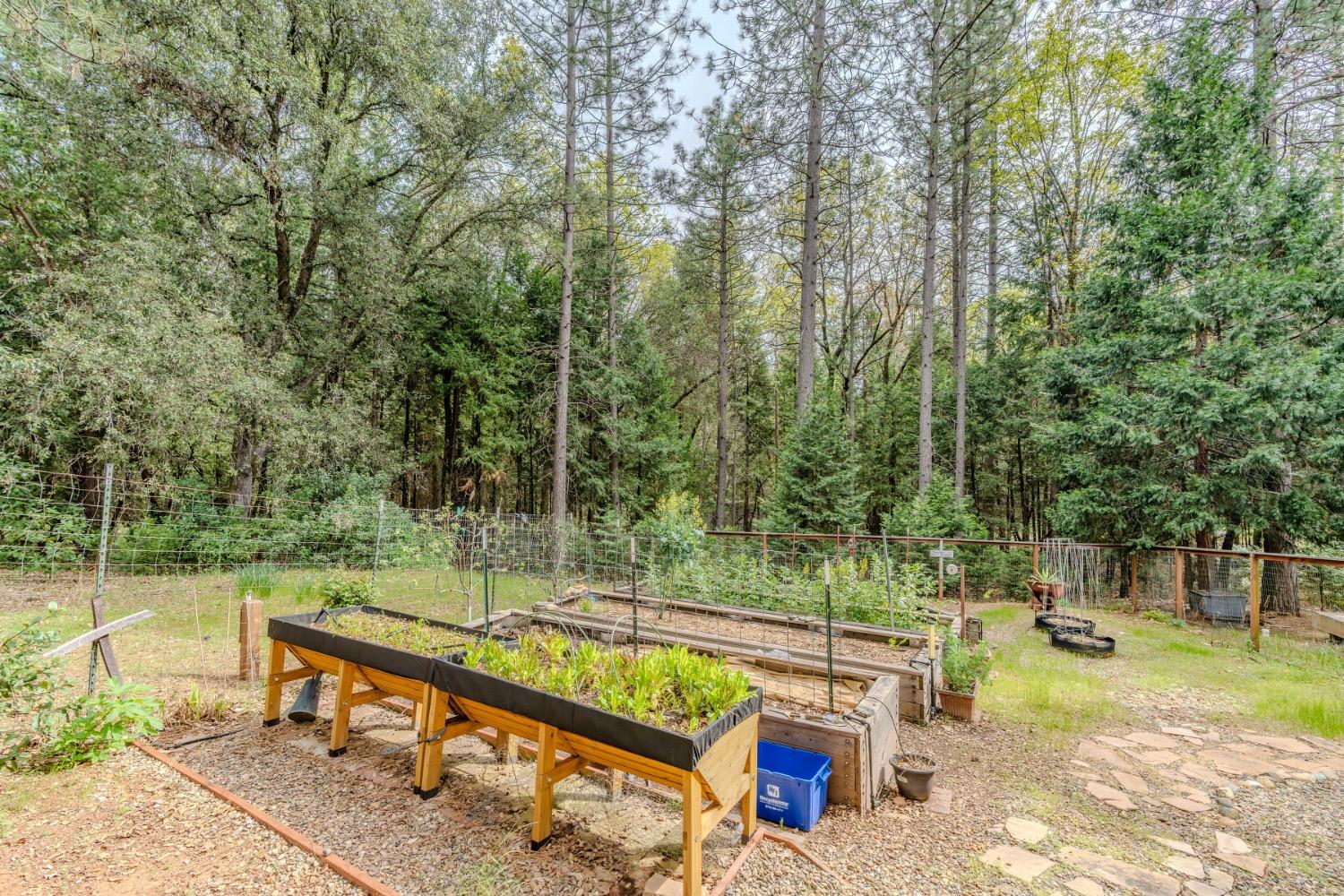 Detail Gallery Image 85 of 88 For 18860 Sylvia Dr, Pine Grove,  CA 95665 - 3 Beds | 2/1 Baths