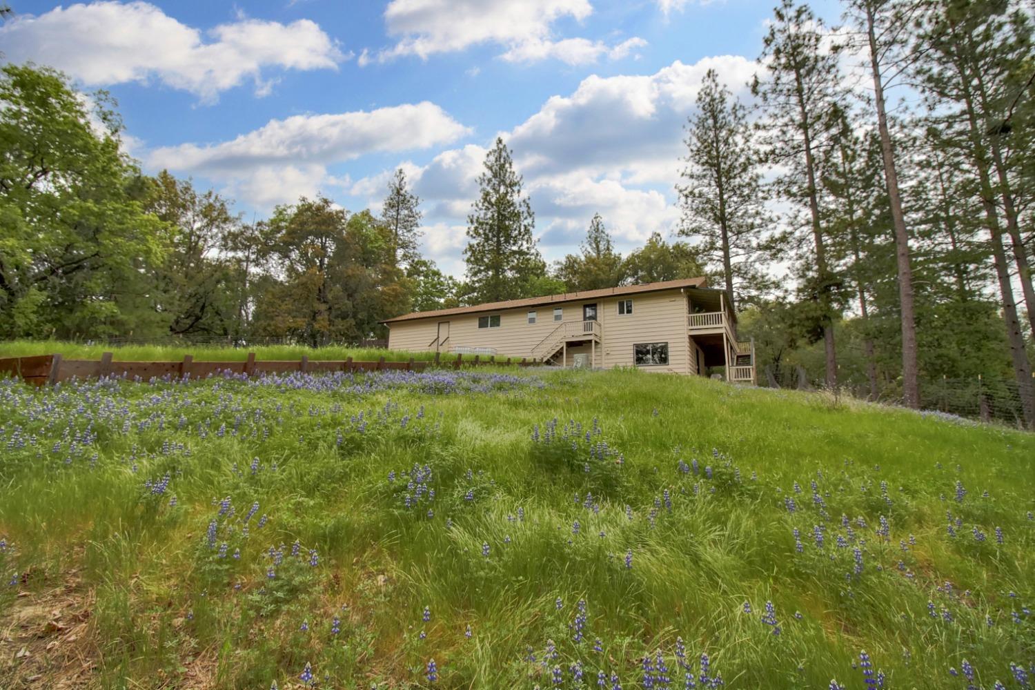 Hilltop Court, Pine Grove, California image 40