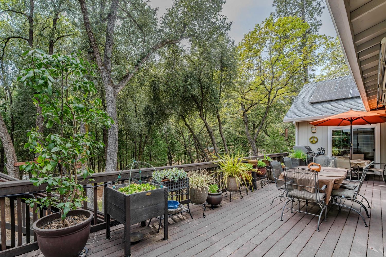 Detail Gallery Image 63 of 88 For 18860 Sylvia Dr, Pine Grove,  CA 95665 - 3 Beds | 2/1 Baths