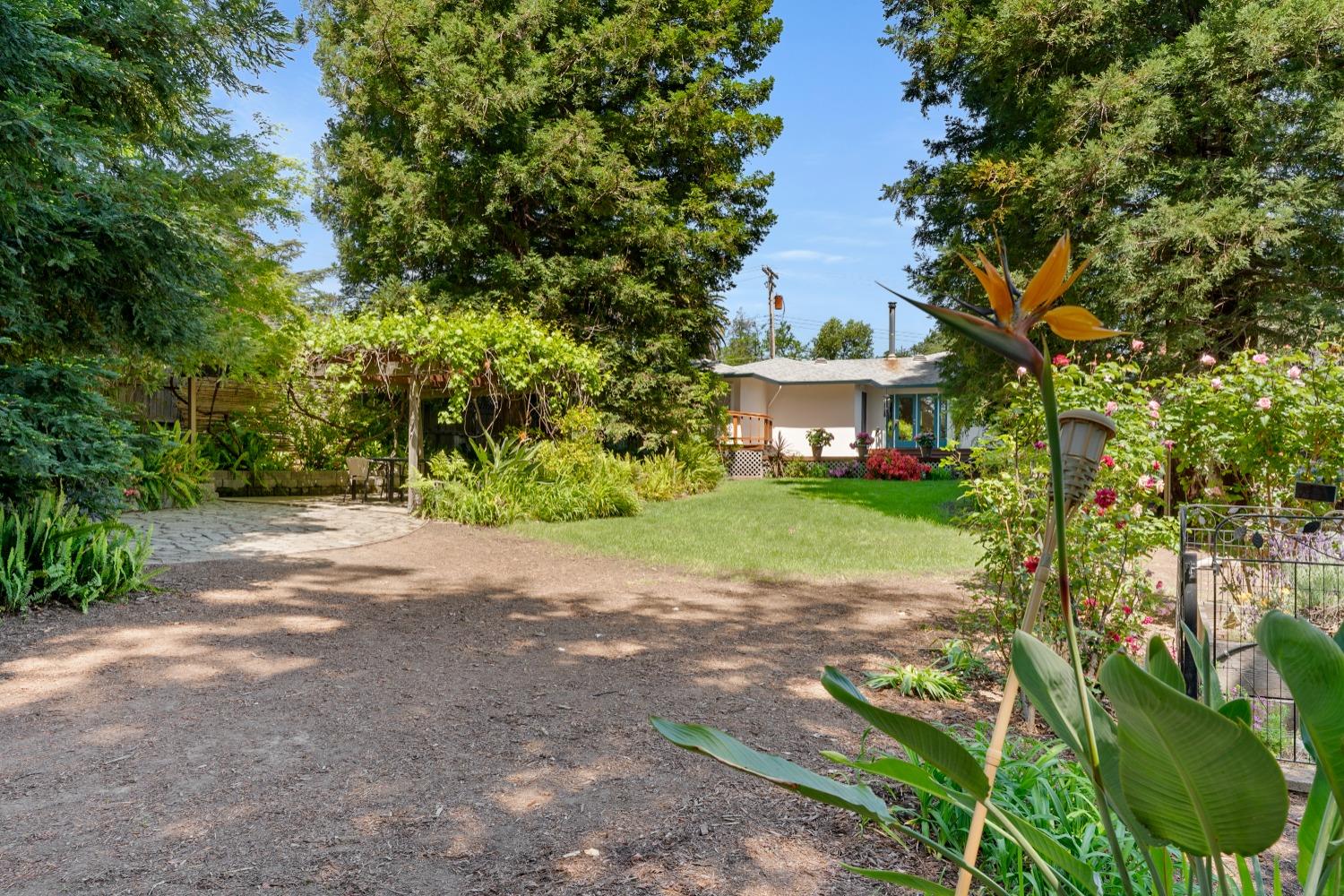Detail Gallery Image 42 of 66 For 9512 Central Ave, Orangevale,  CA 95662 - 3 Beds | 2 Baths