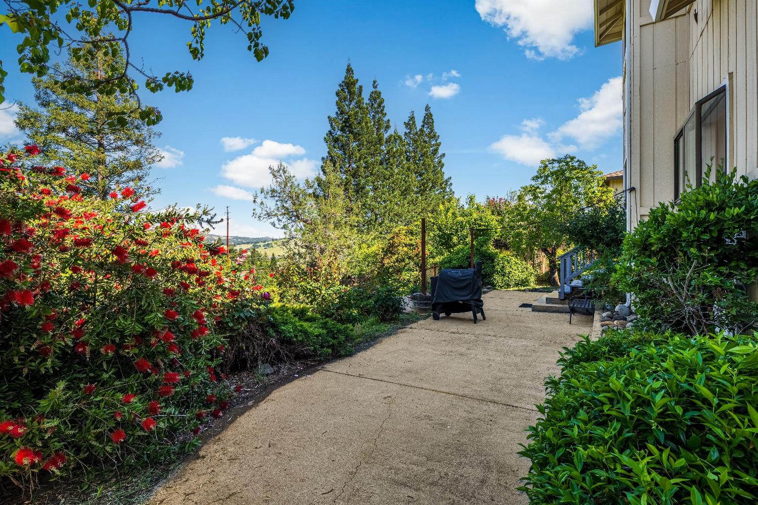 Platt Circle, El Dorado Hills, California image 44