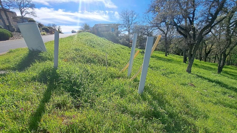 Carmen Drive, El Dorado Hills, California image 3