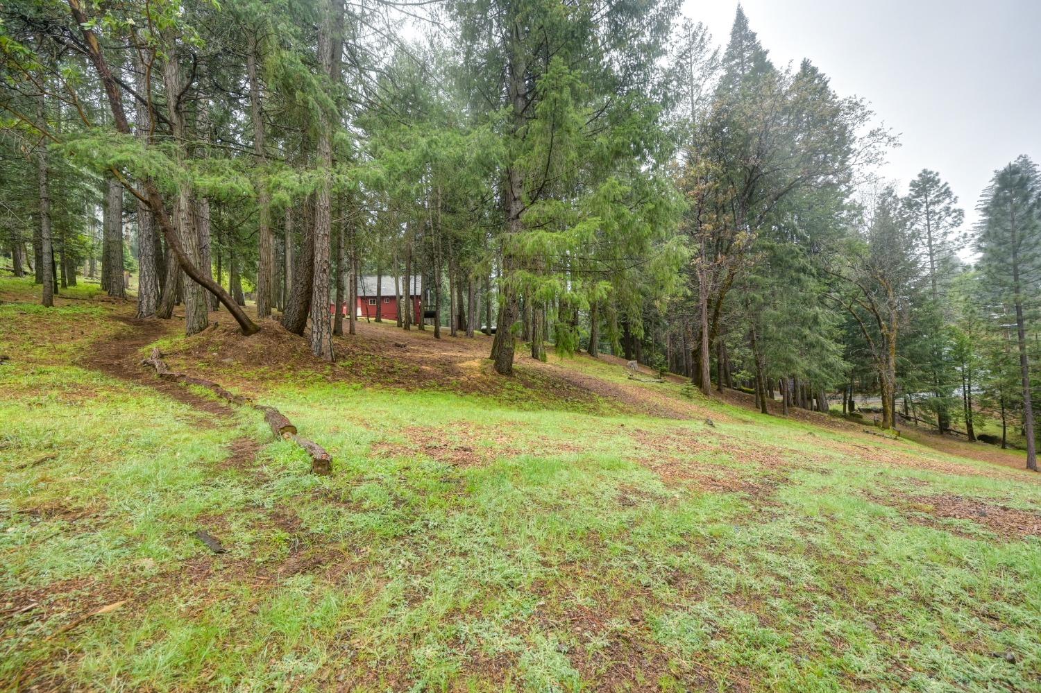 Detail Gallery Image 56 of 58 For 5191 Sierra Springs Dr, Pollock Pines,  CA 95726 - 2 Beds | 1 Baths