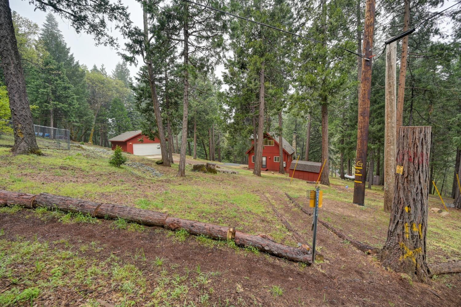 Sierra Springs Drive, Pollock Pines, California image 41