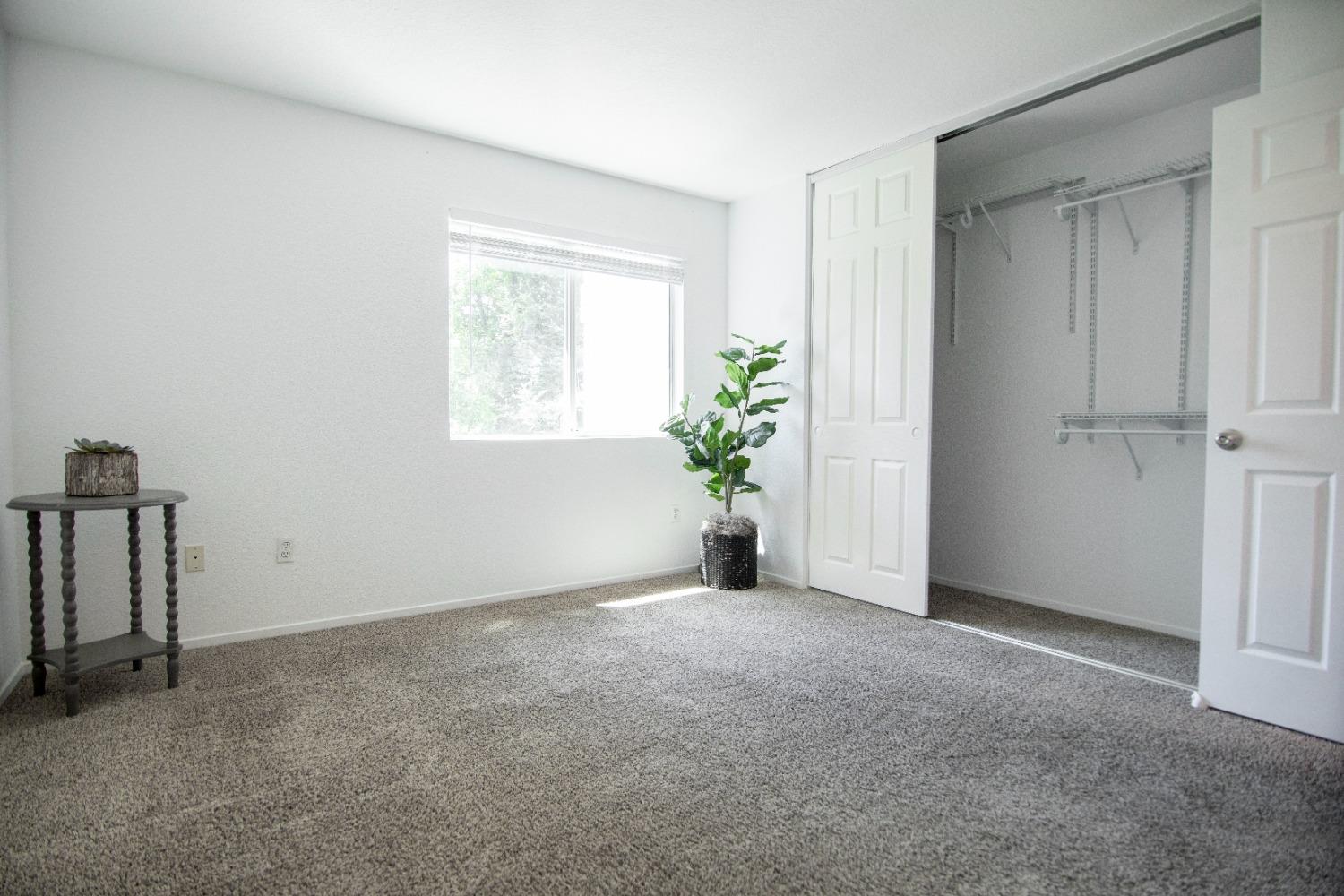Photo #25: 225053685 Listing: Photo #25