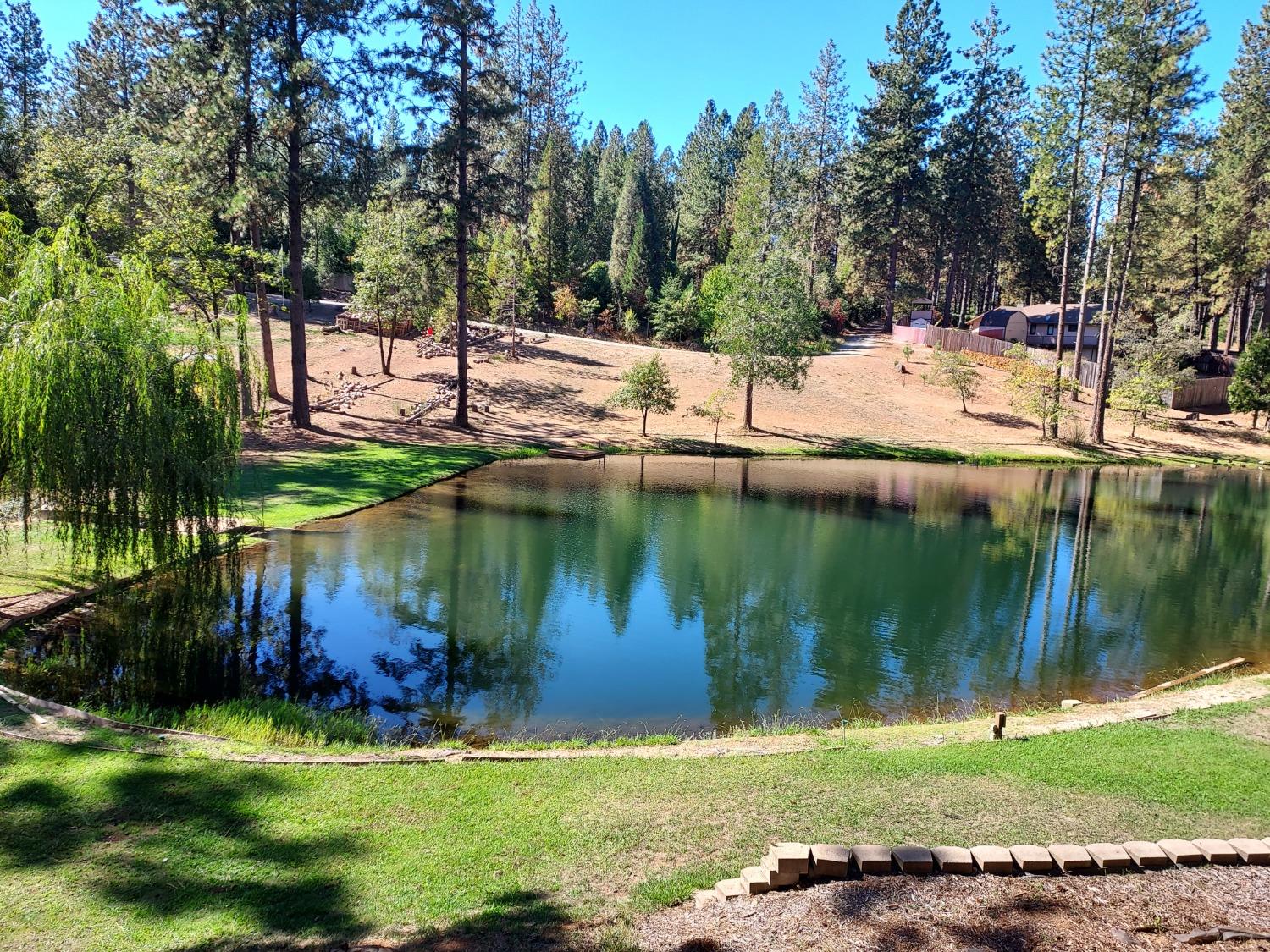 Detail Gallery Image 76 of 79 For 15135 Orchard Springs Rd, Grass Valley,  CA 95945 - 4 Beds | 4/1 Baths