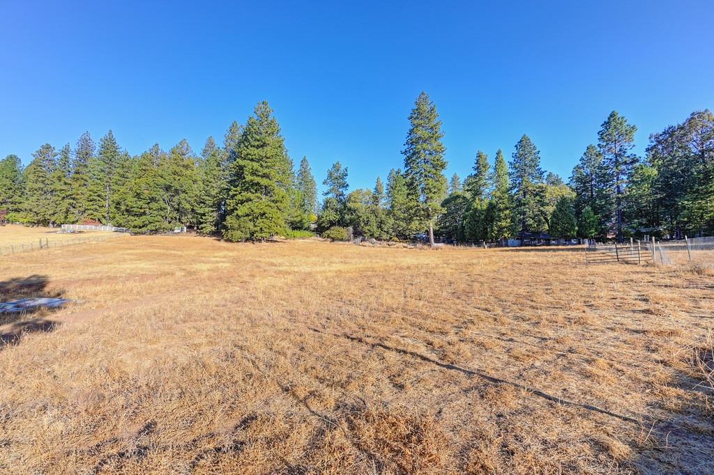 Shake Ridge Road, Volcano, California image 31