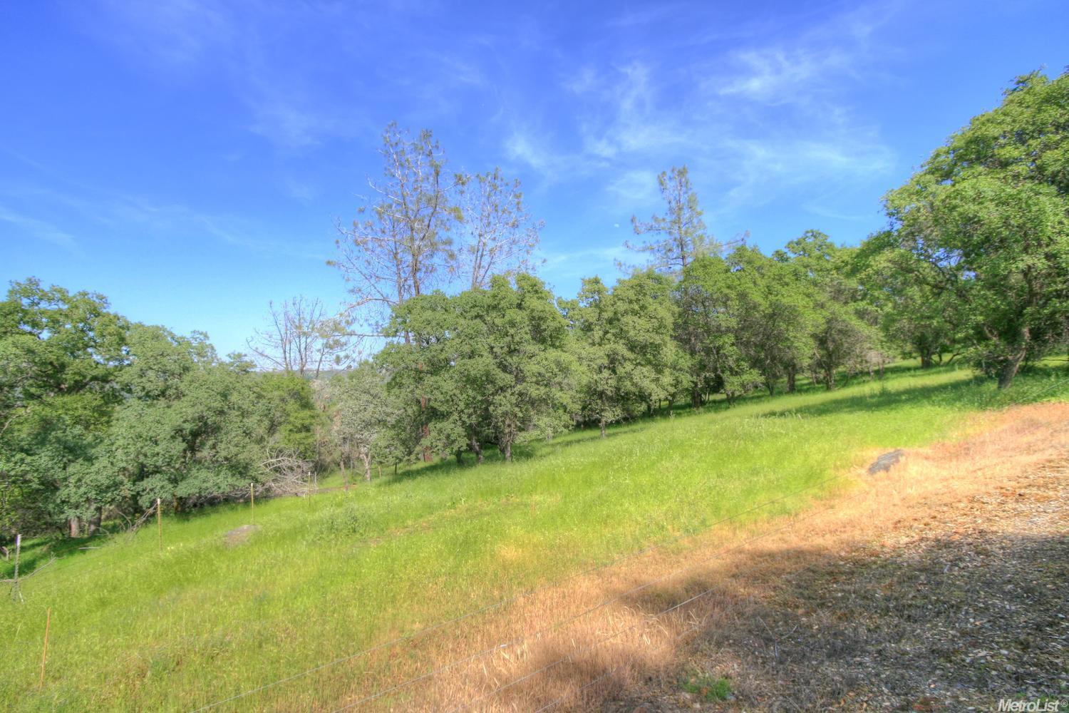 Garden Bar Road, Lincoln, California image 9