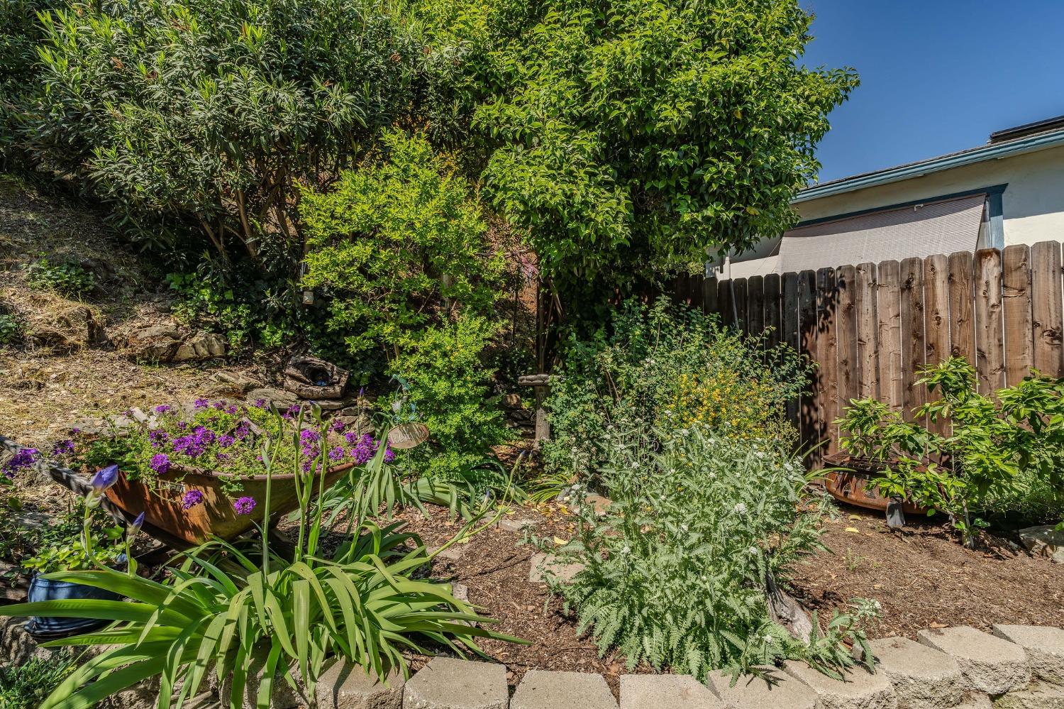 Detail Gallery Image 65 of 83 For 1356 Mark Twain Rd, Angels Camp,  CA 95222 - 3 Beds | 3 Baths