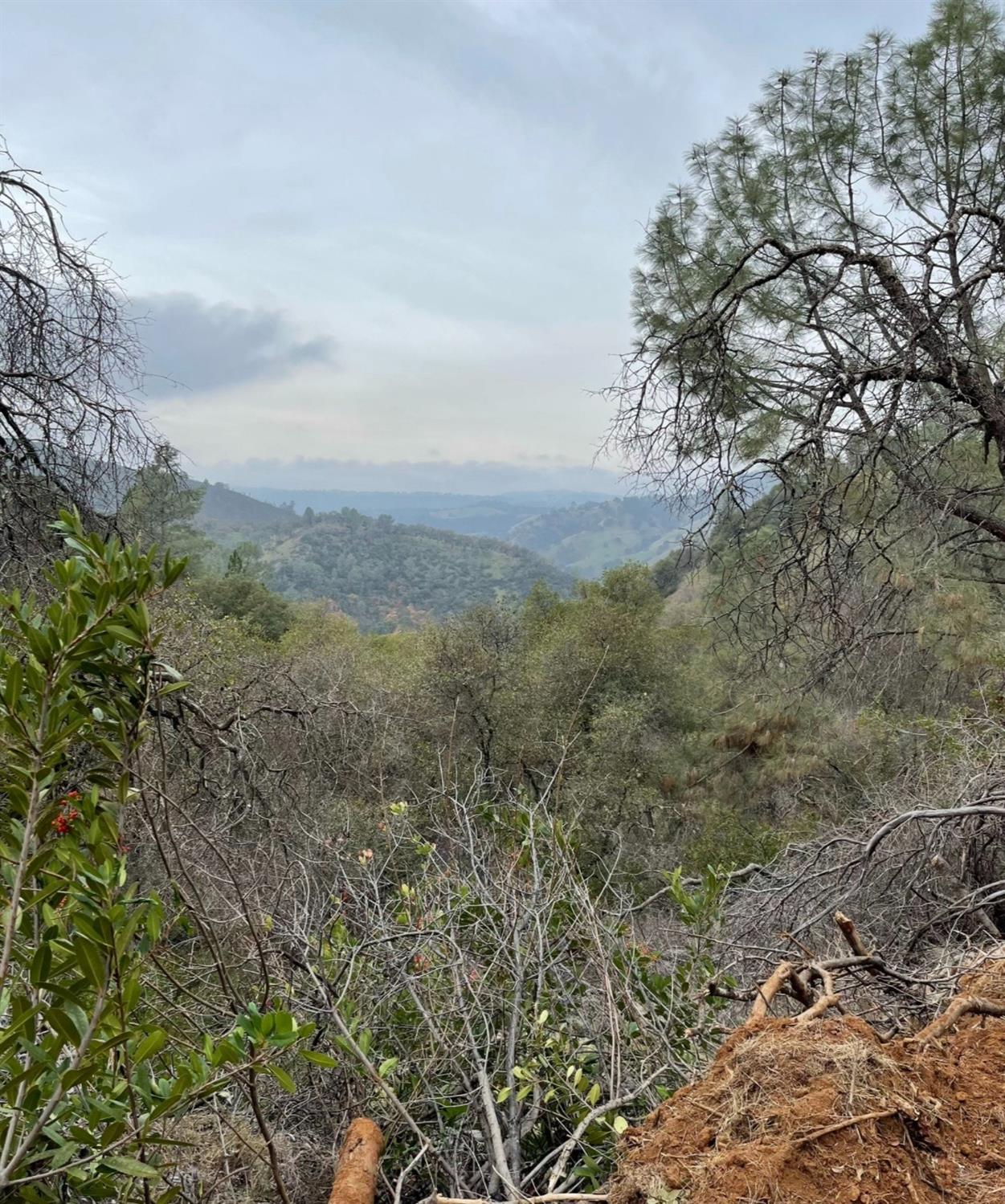 Montgomery Drive, Mokelumne Hill, California image 4