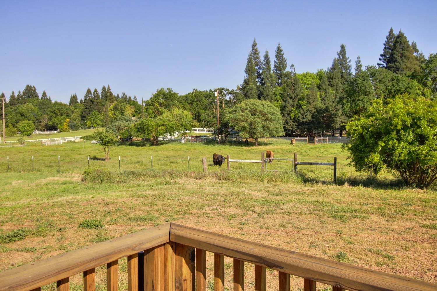 Detail Gallery Image 46 of 93 For 12730 Leo Ln, Wilton,  CA 95693 - 4 Beds | 4 Baths