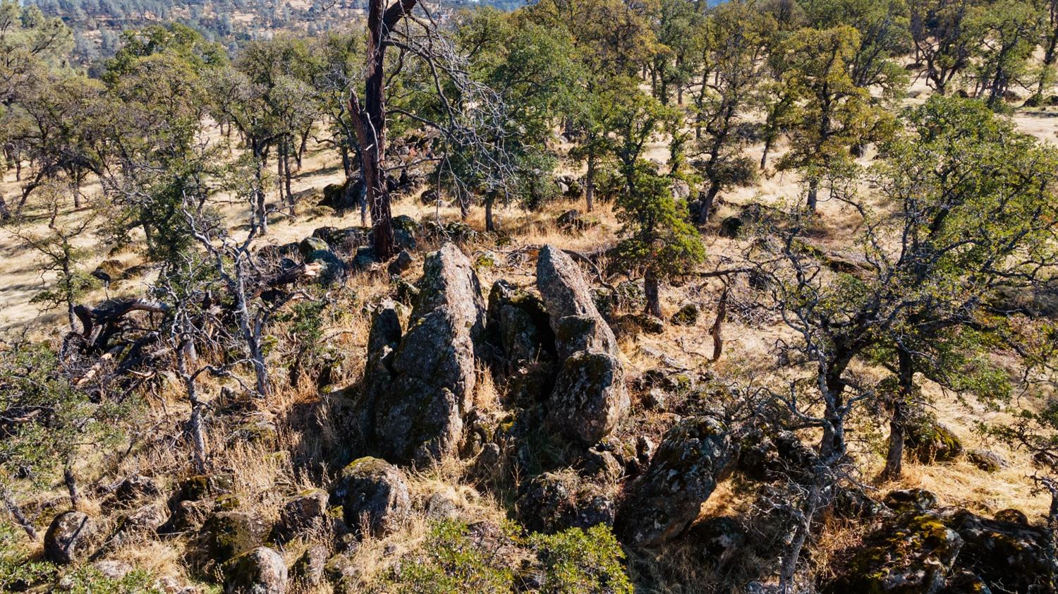 Hammonton Bluff Parcel 8, Smartsville, California image 31