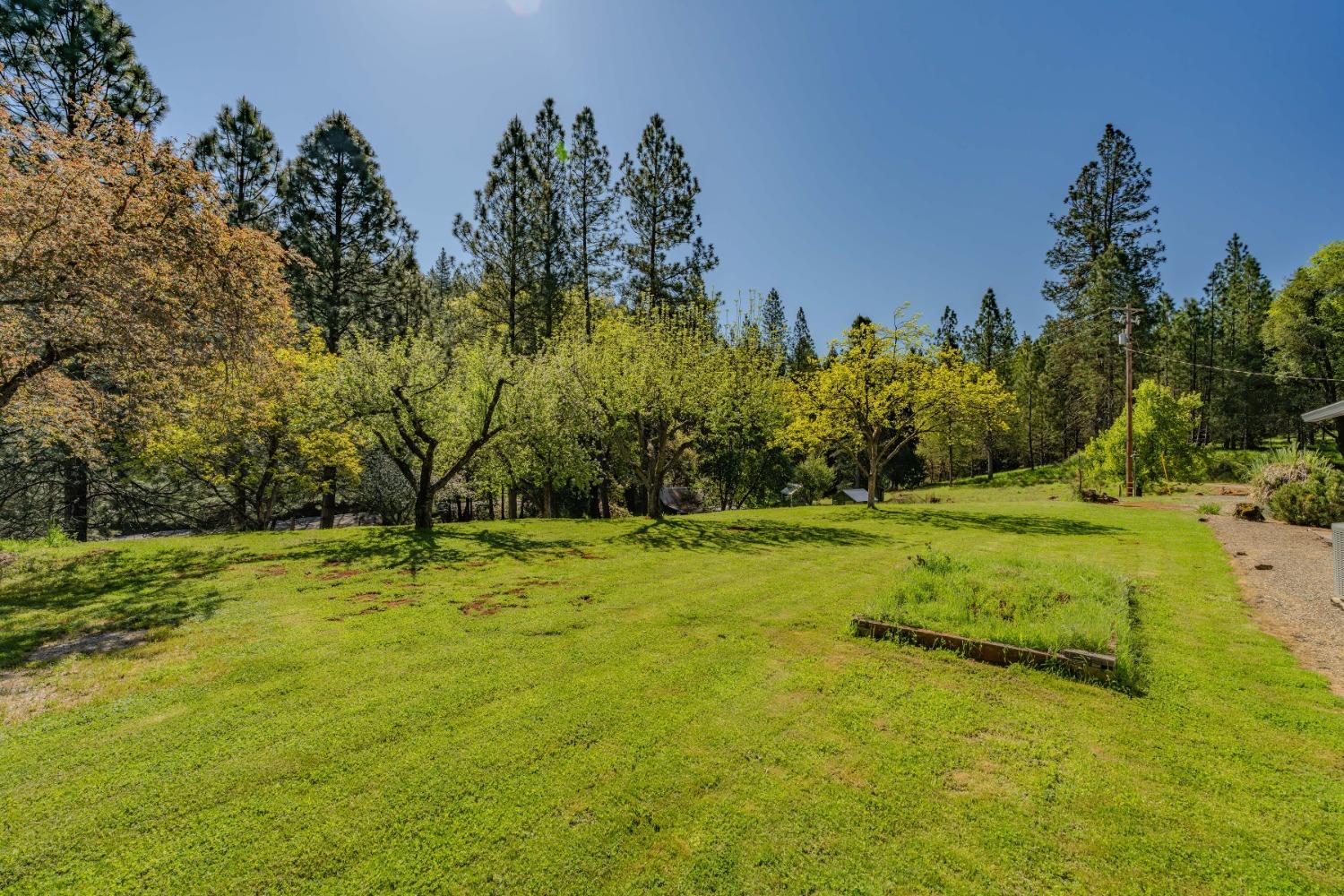 Pioneer Volcano Road, Pioneer, California image 29