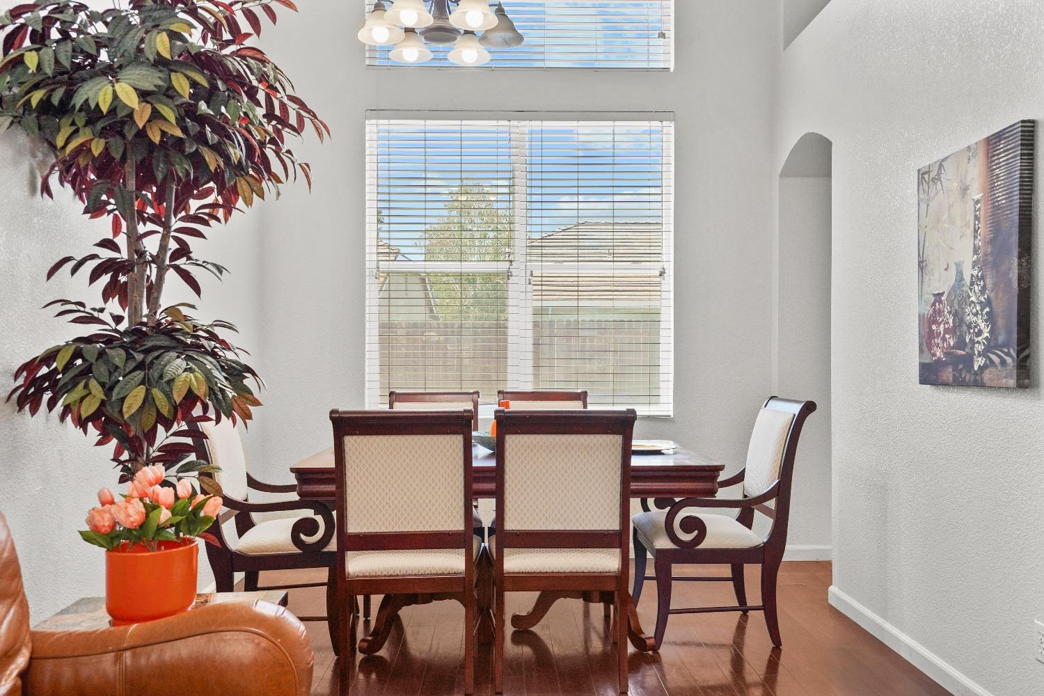 Summer Sun Way, Elk Grove, California image 18