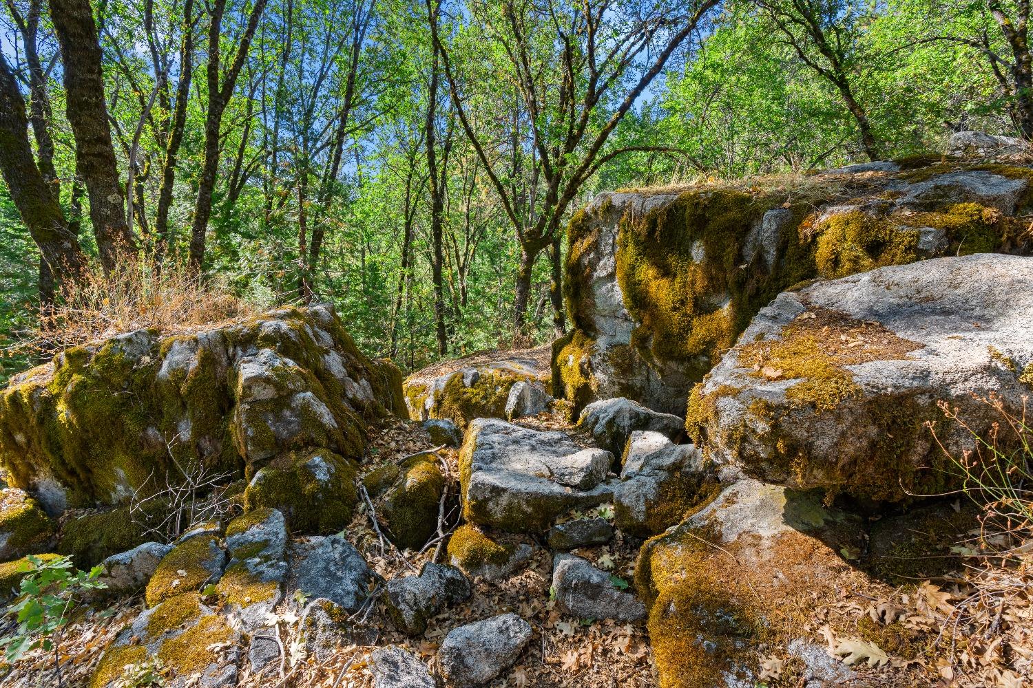Kuntz Court, Nevada City, California image 33