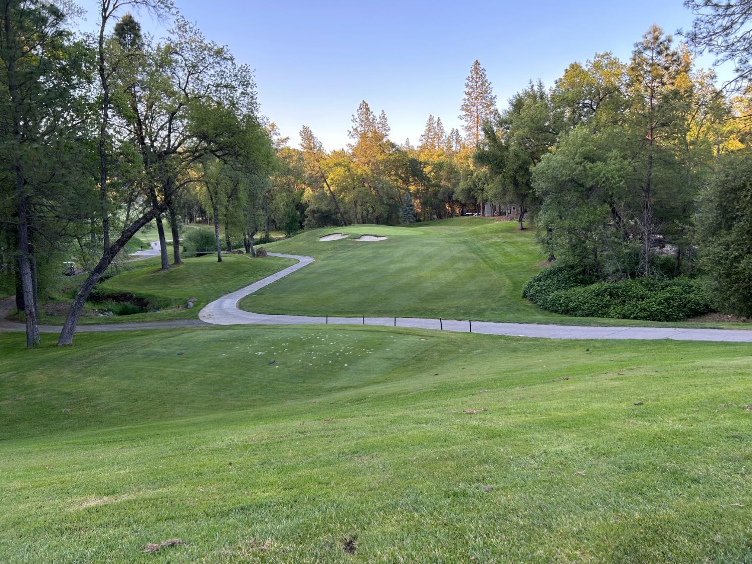 Lake Forest, Penn Valley, California image 4