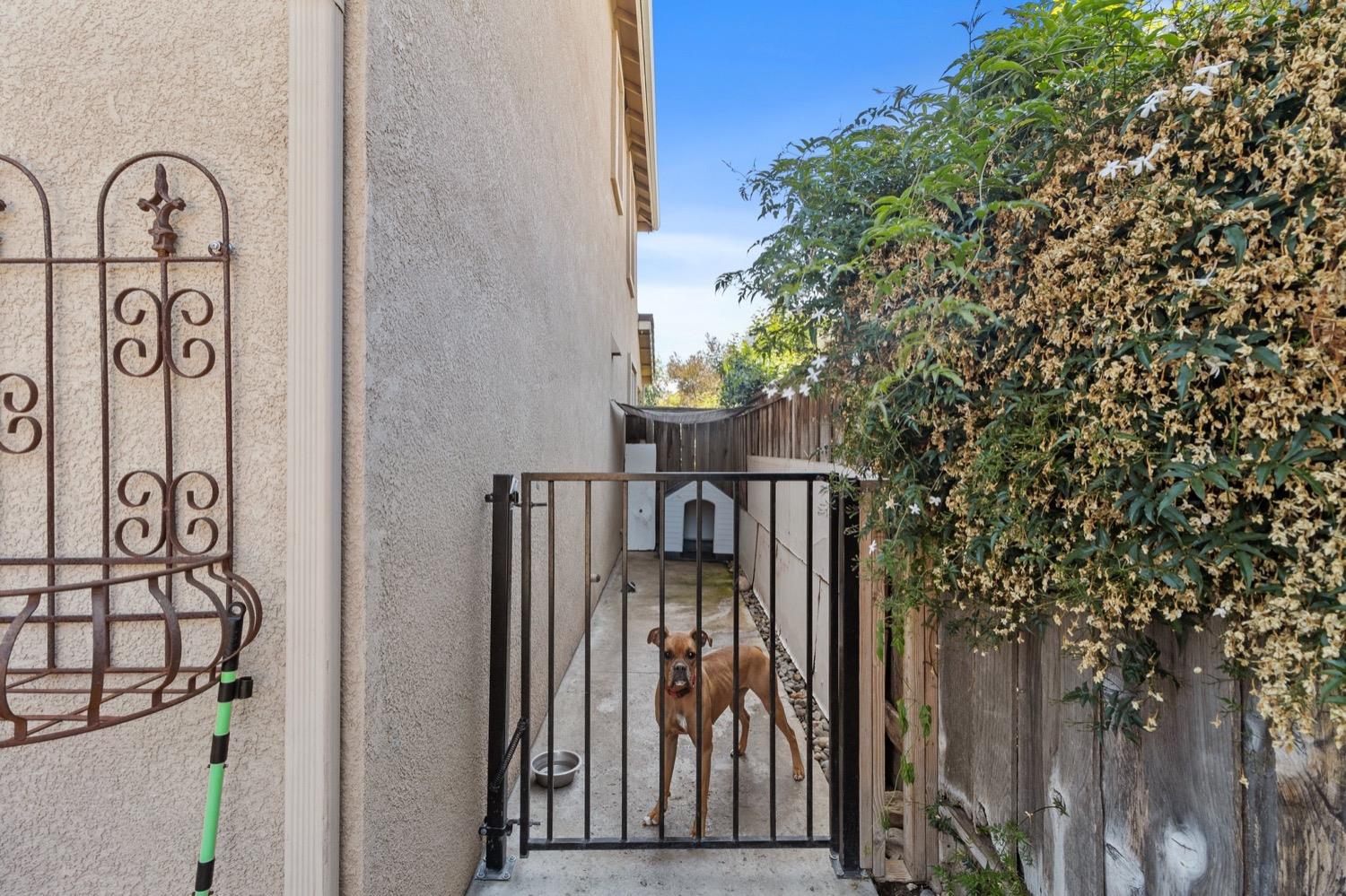 Detail Gallery Image 36 of 37 For 517 Lasso Ct, Oakdale,  CA 95361 - 5 Beds | 2/1 Baths