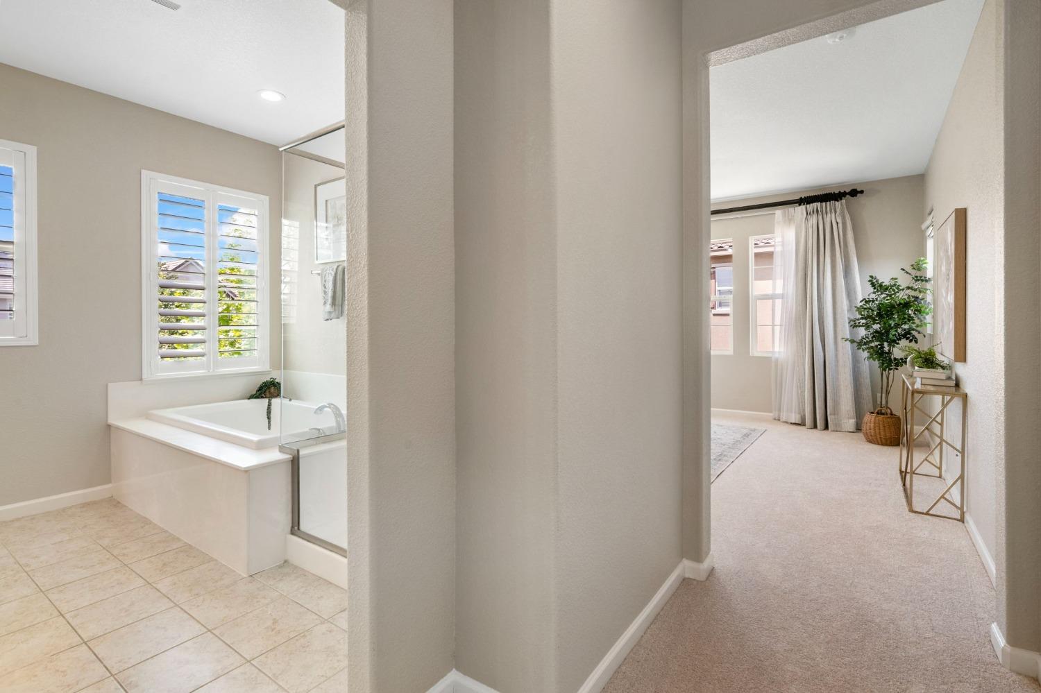 Detail Gallery Image 45 of 70 For 1071 S Jacobs Dr, Mountain House,  CA 95391 - 6 Beds | 3/1 Baths