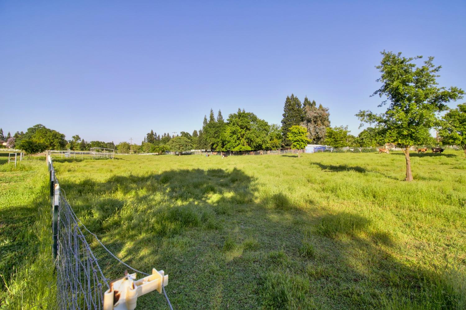 Detail Gallery Image 71 of 93 For 12730 Leo Ln, Wilton,  CA 95693 - 4 Beds | 4 Baths