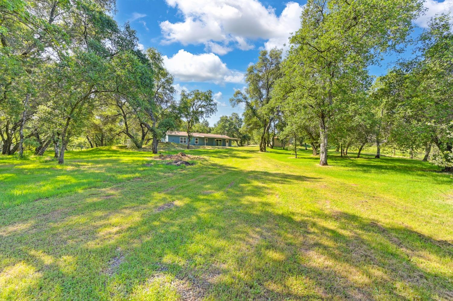 Perimeter Road, Grass Valley, California image 34