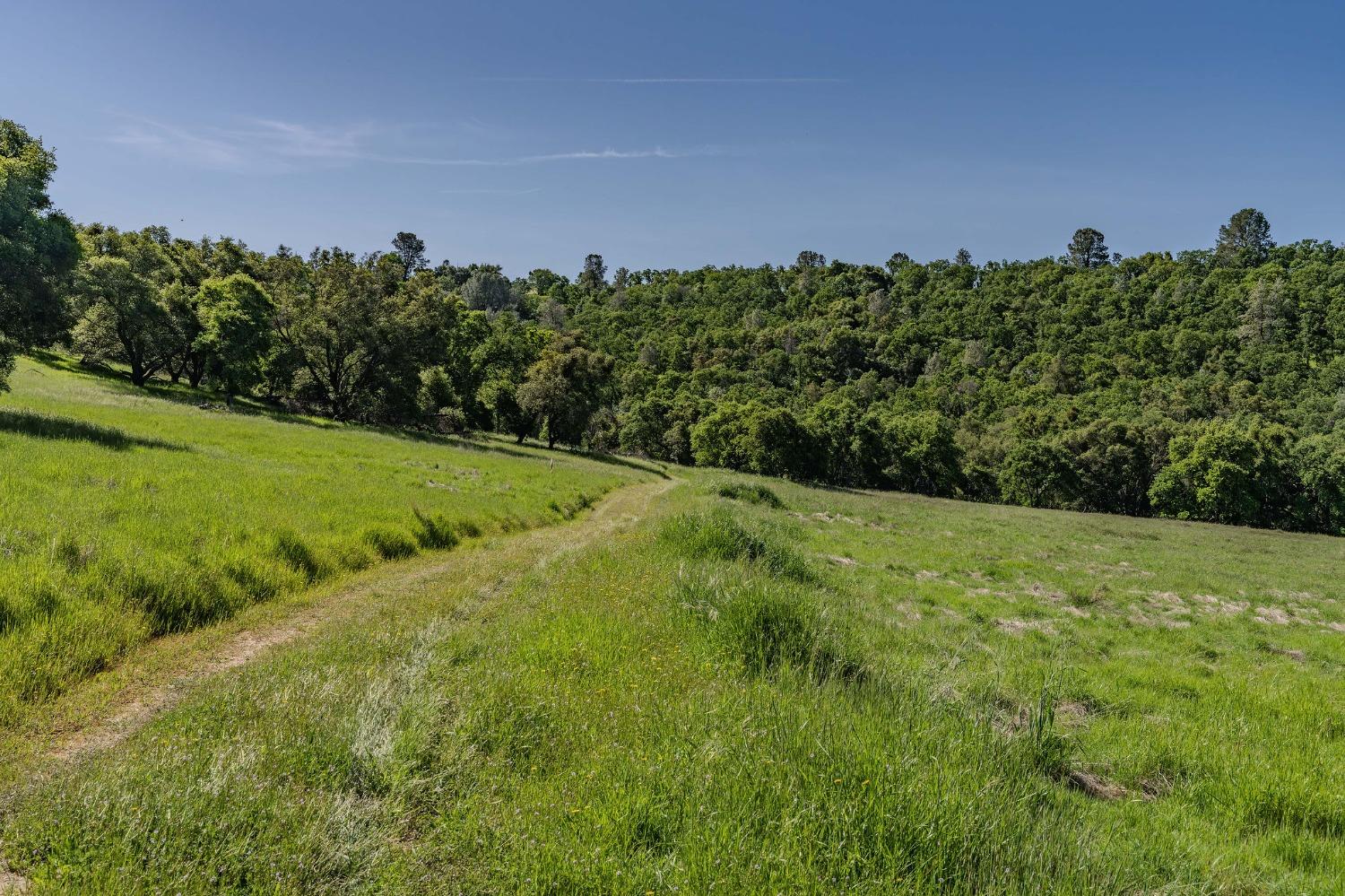 Sunset Drive, Sutter Creek, California image 13