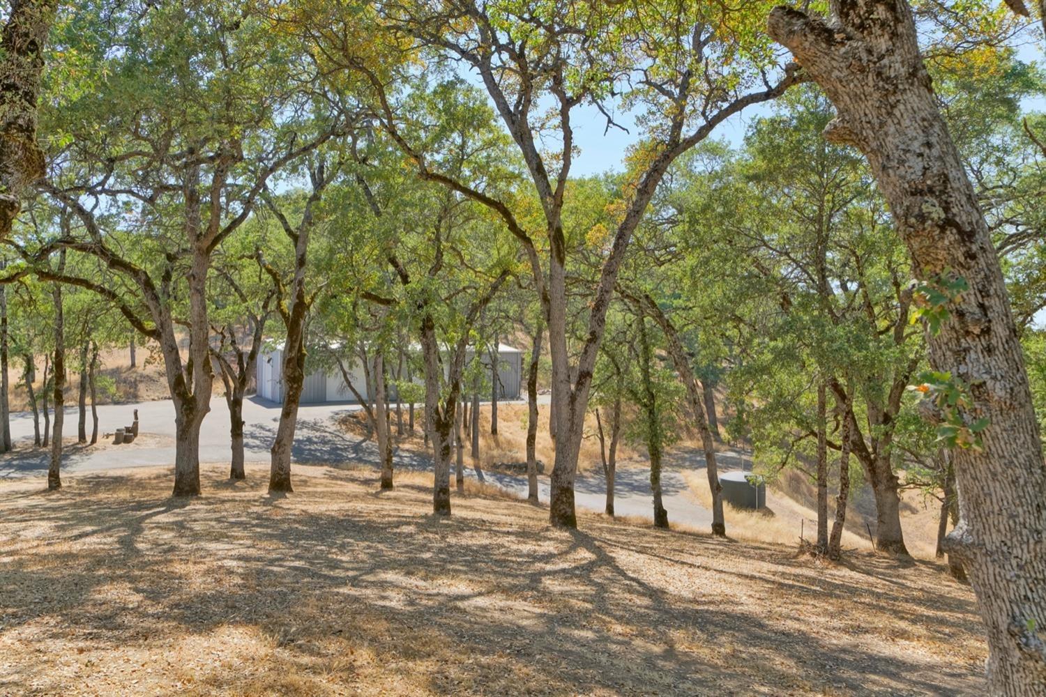 Burnt Oak Drive, Placerville, California image 9