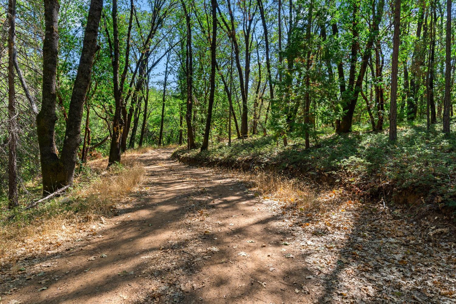 Kuntz Court, Nevada City, California image 9