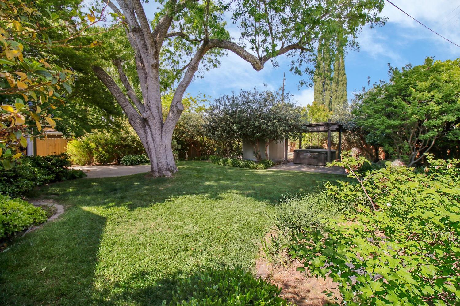 Virginia Way, Sacramento, California image 30