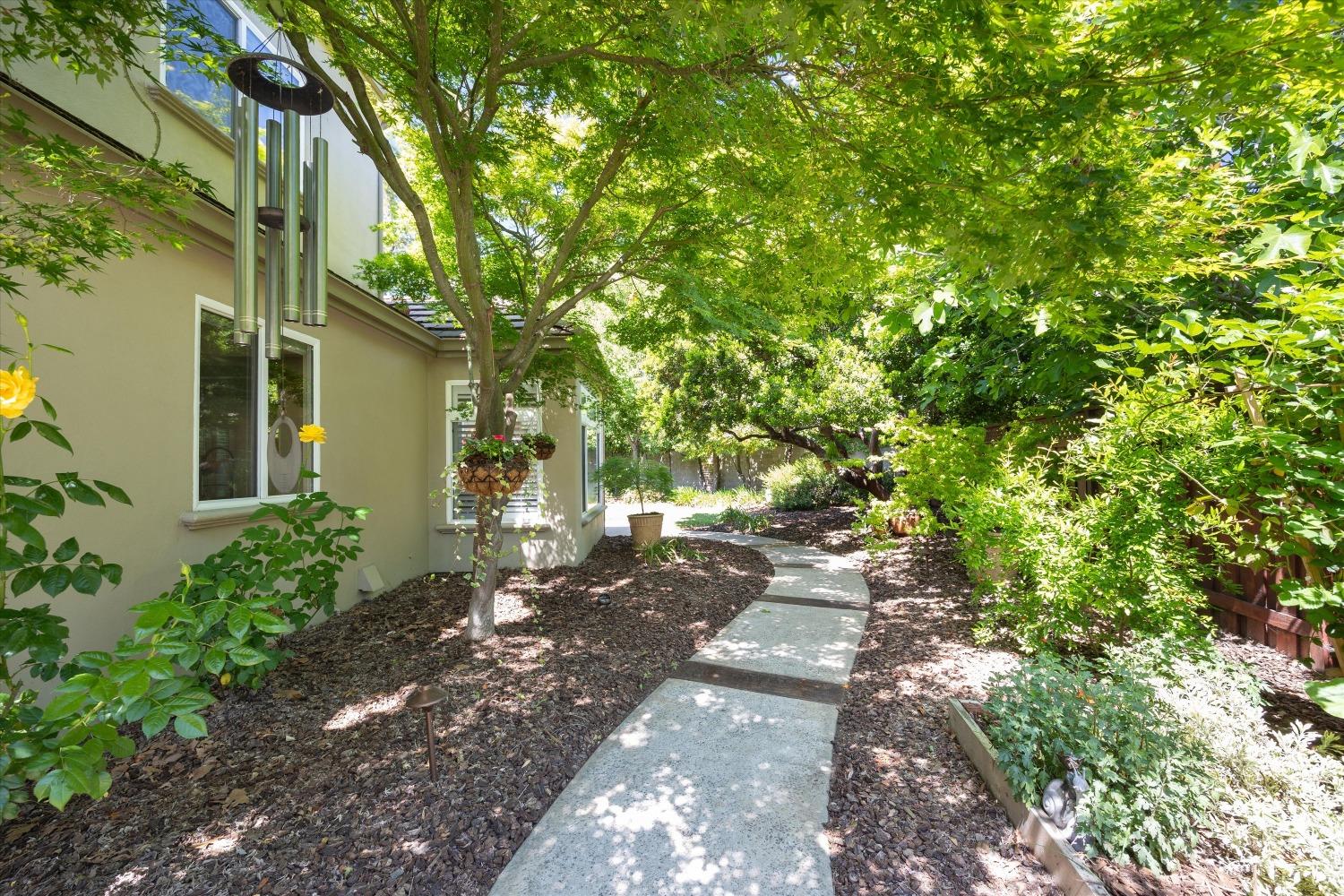 Tuscan Lane, Sacramento, California image 48