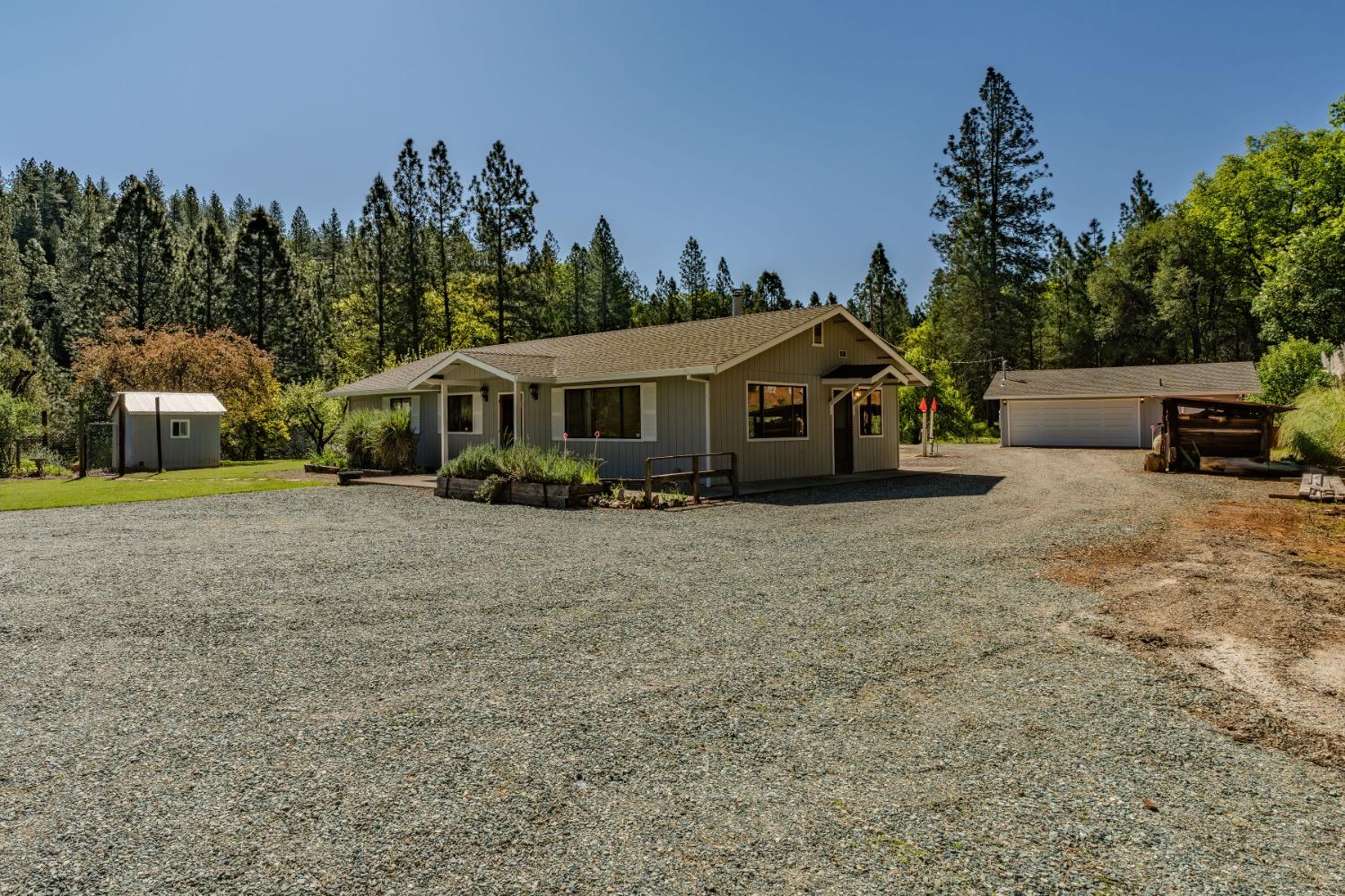Pioneer Volcano Road, Pioneer, California image 19