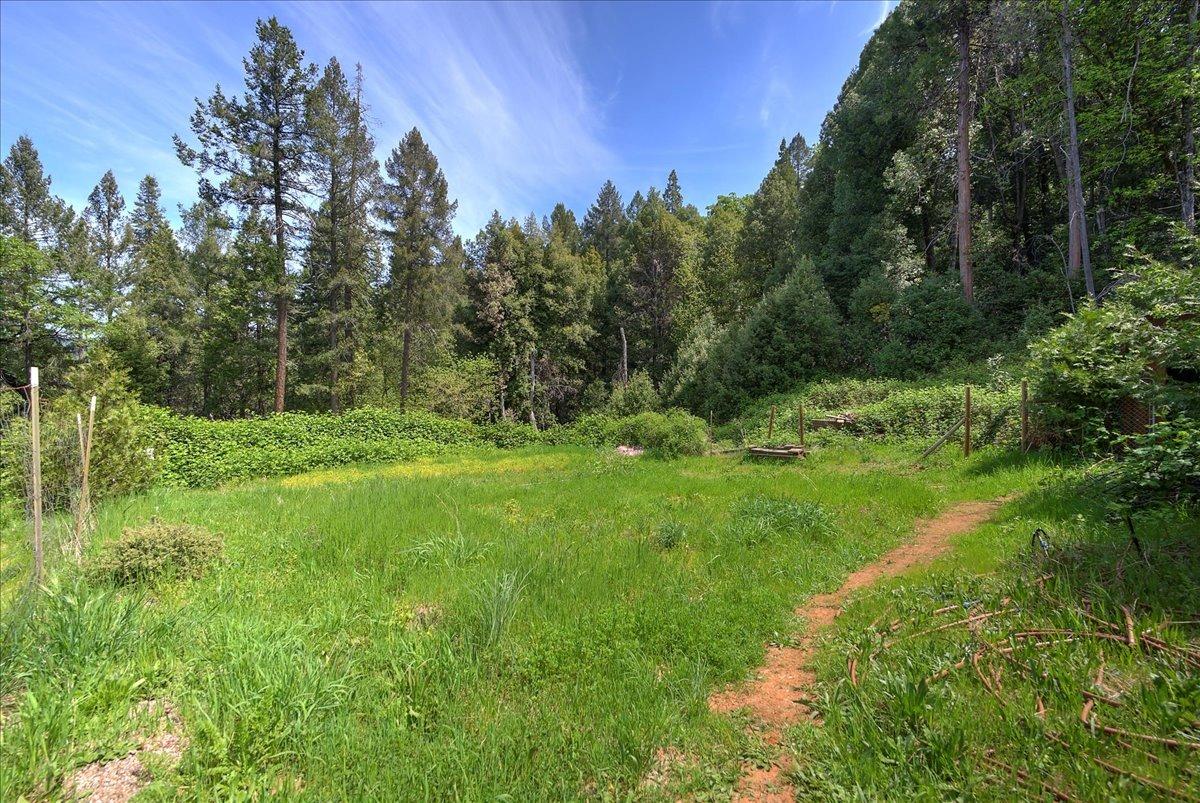 Sages Road, Nevada City, California image 47