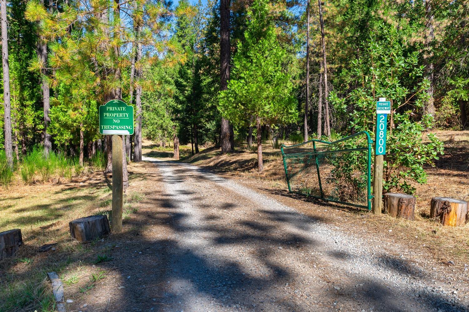 Kuntz Court, Nevada City, California image 13