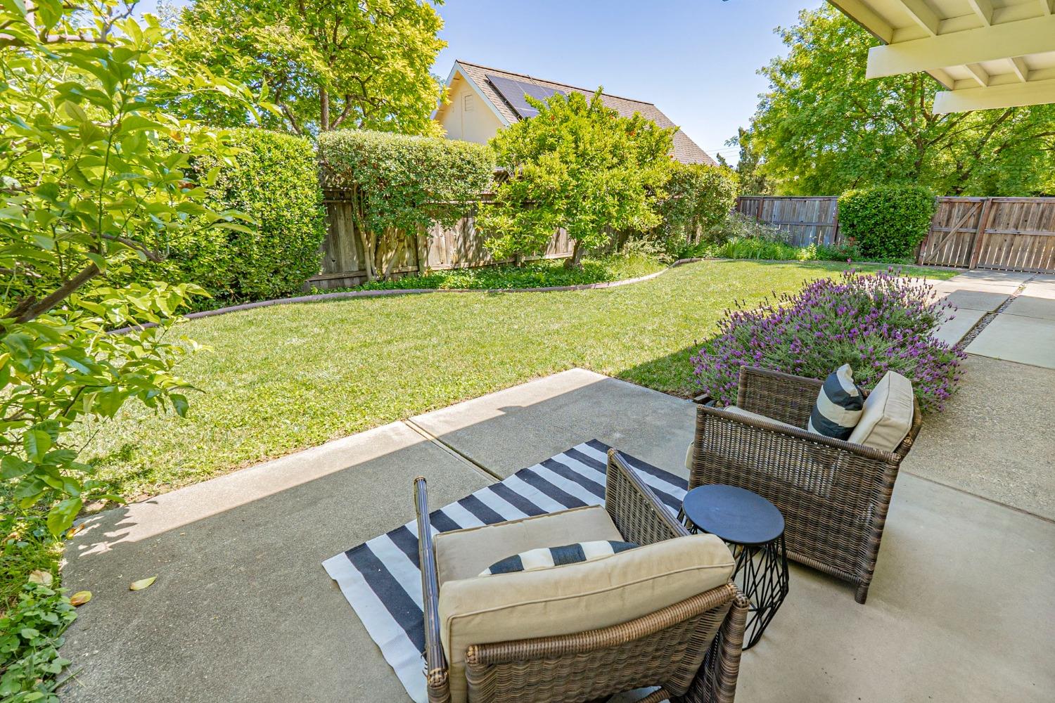 Pine Lane, Davis, California image 29