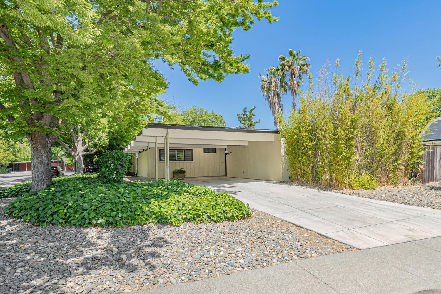 Pine Lane, Davis, California image 3