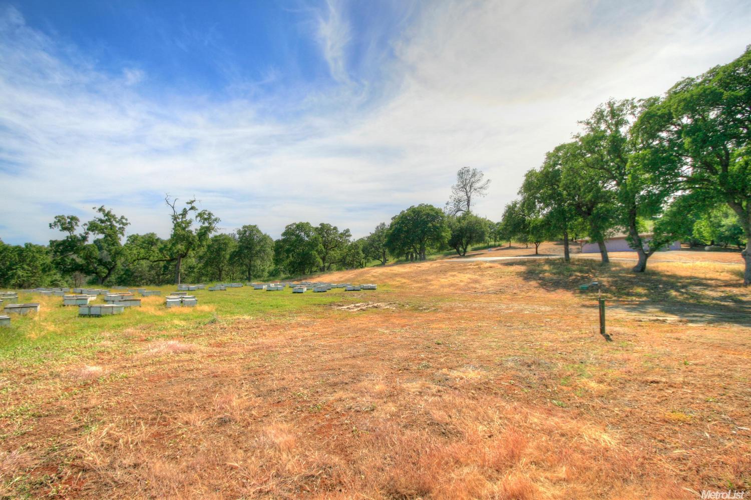 Garden Bar Road, Lincoln, California image 17