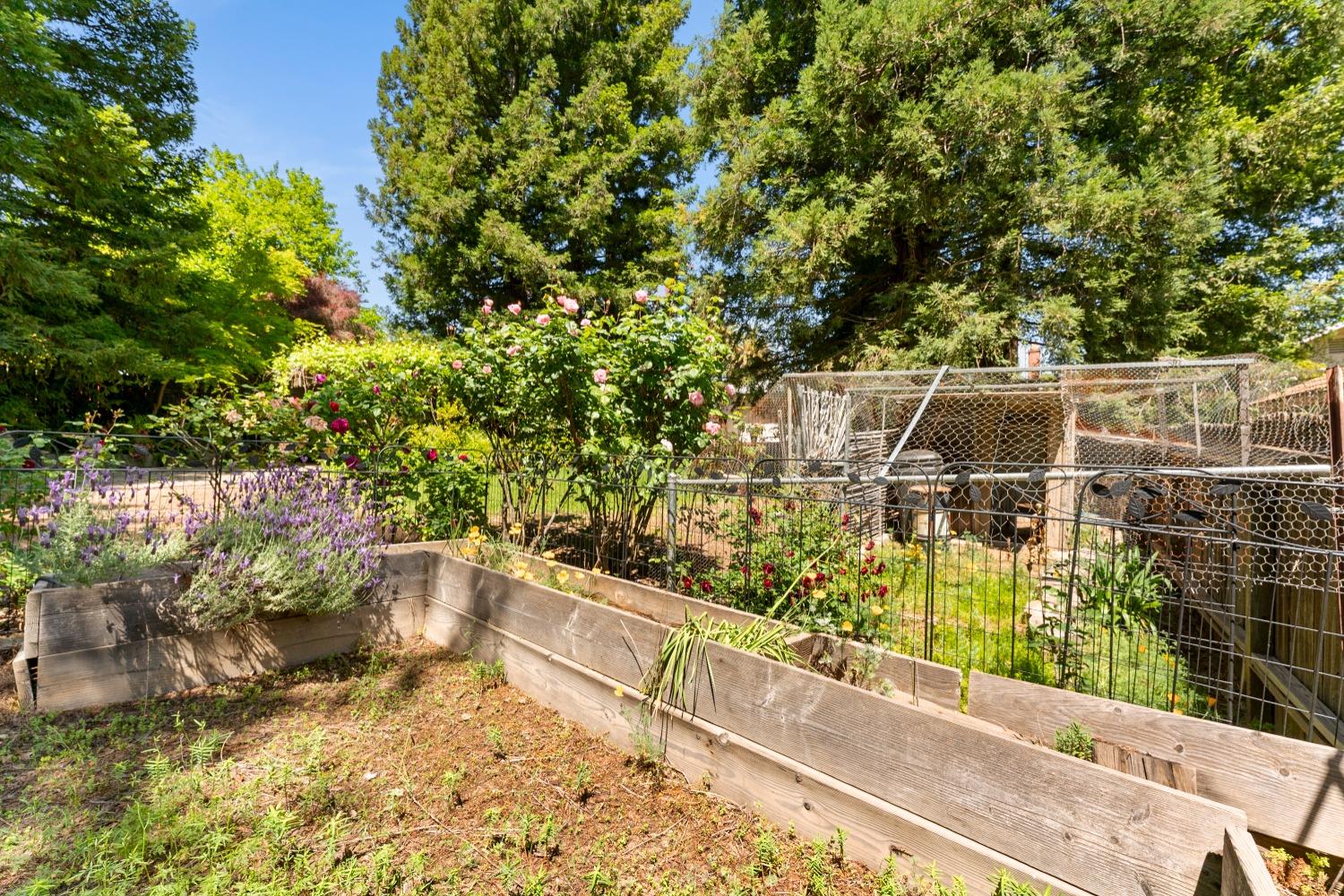 Detail Gallery Image 47 of 66 For 9512 Central Ave, Orangevale,  CA 95662 - 3 Beds | 2 Baths