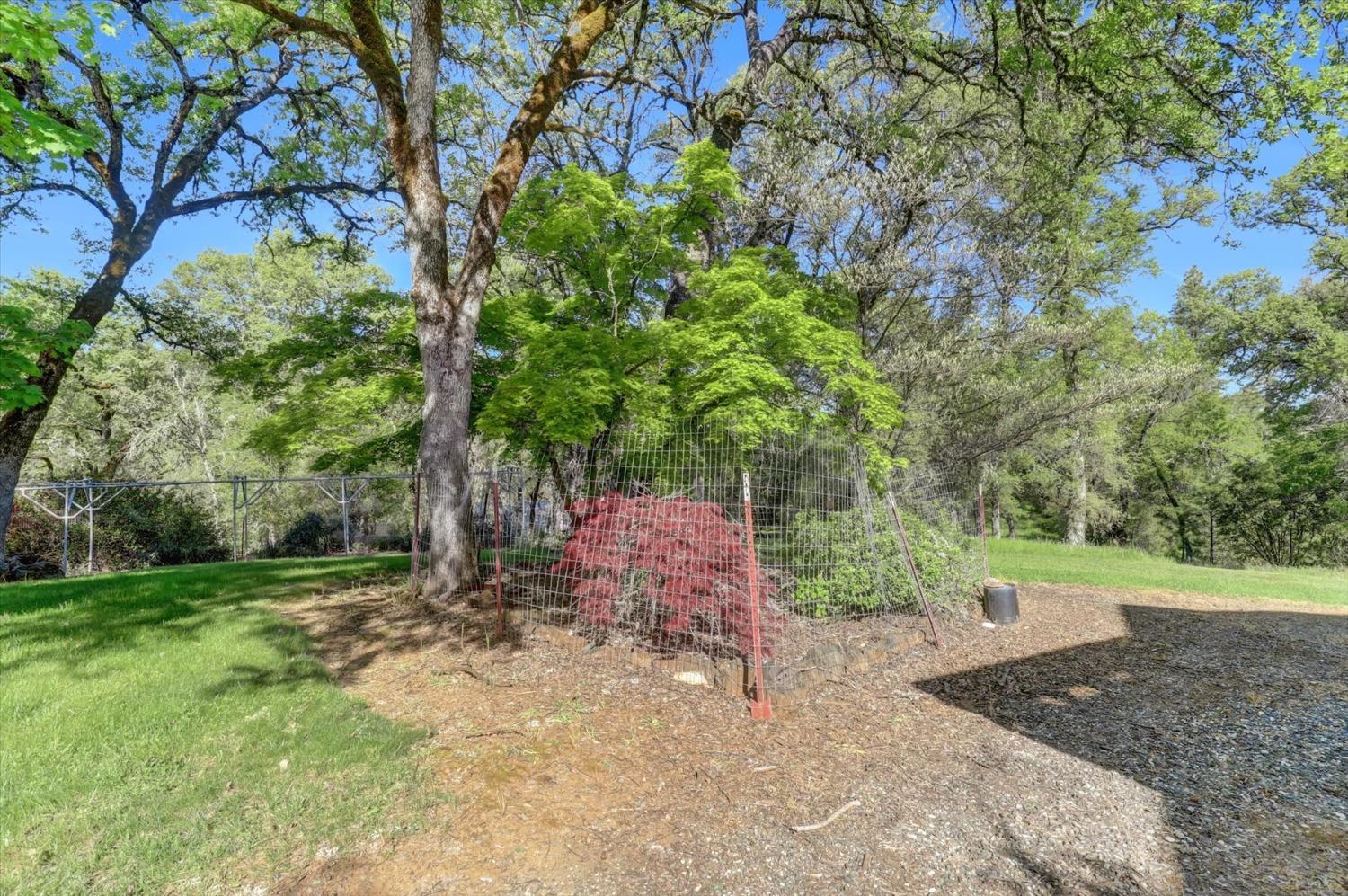 Detail Gallery Image 88 of 99 For 14508 Arrow Rd, Penn Valley,  CA 95946 - 3 Beds | 3/1 Baths
