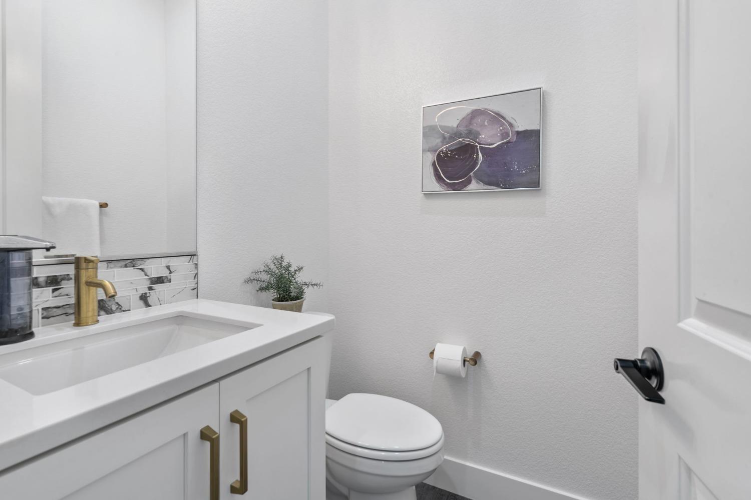 Tipton Court, Lathrop, California image 27
