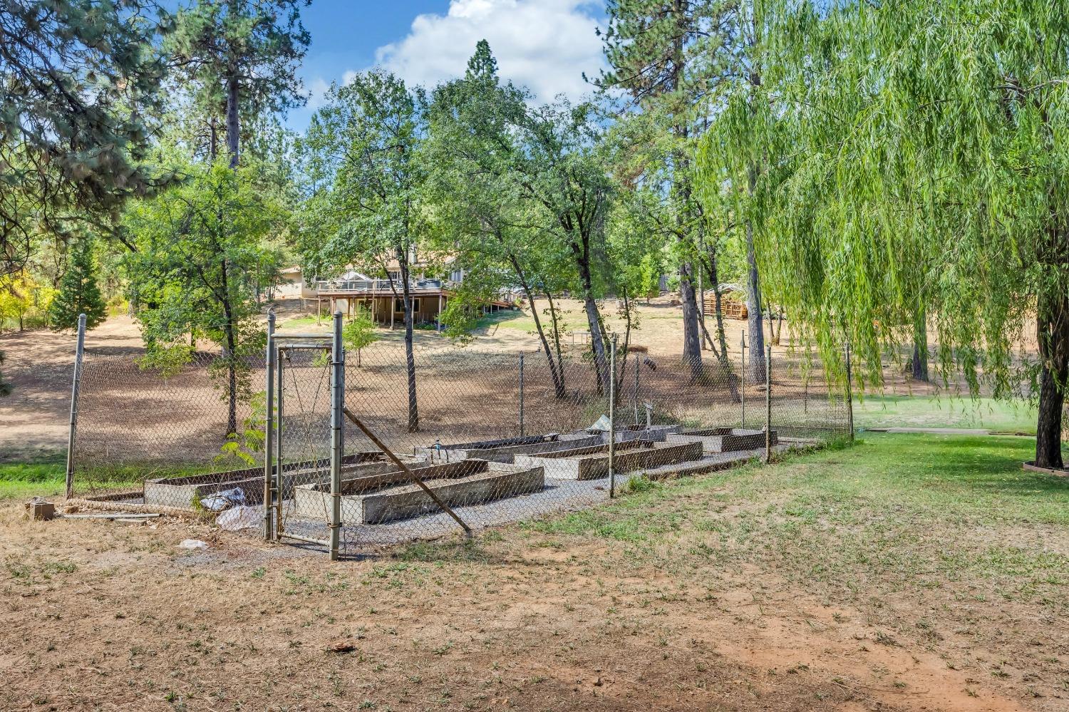 Detail Gallery Image 73 of 79 For 15135 Orchard Springs Rd, Grass Valley,  CA 95945 - 4 Beds | 4/1 Baths