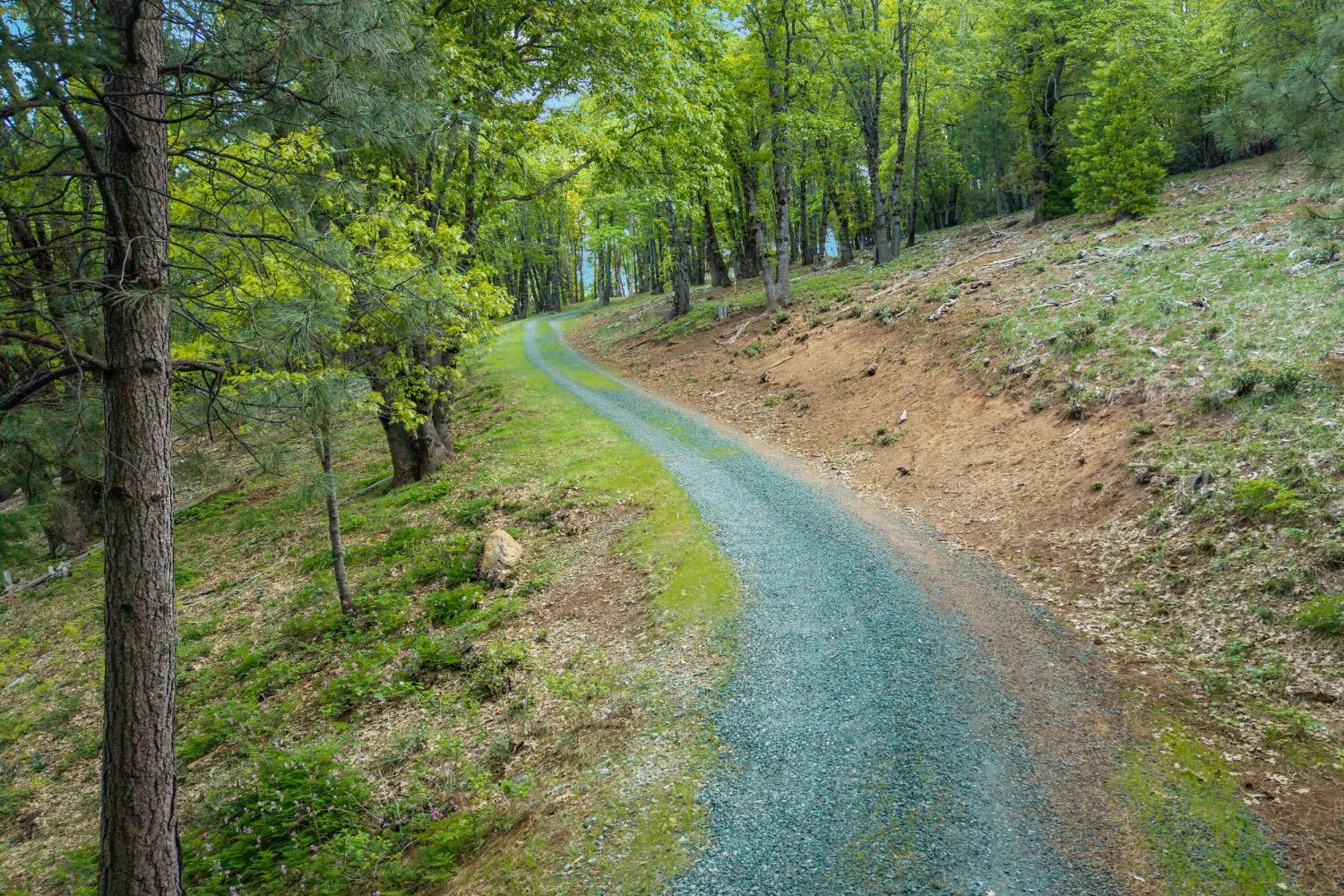 Lightning Tree Road, Nevada City, California image 48