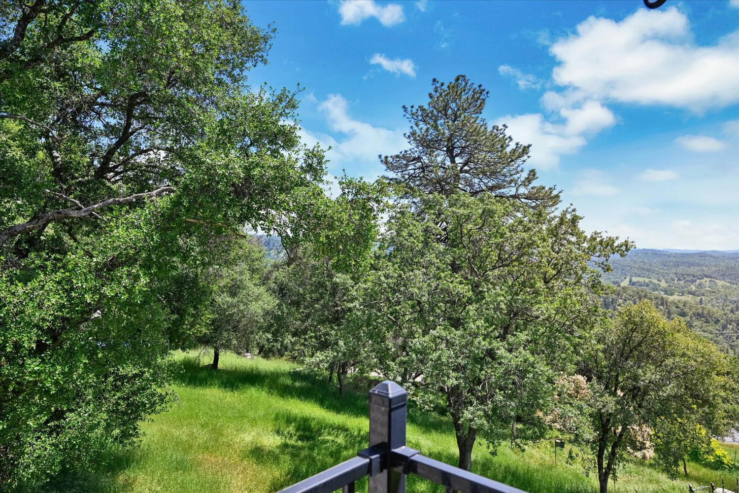 Patricia Way, Grass Valley, California image 35