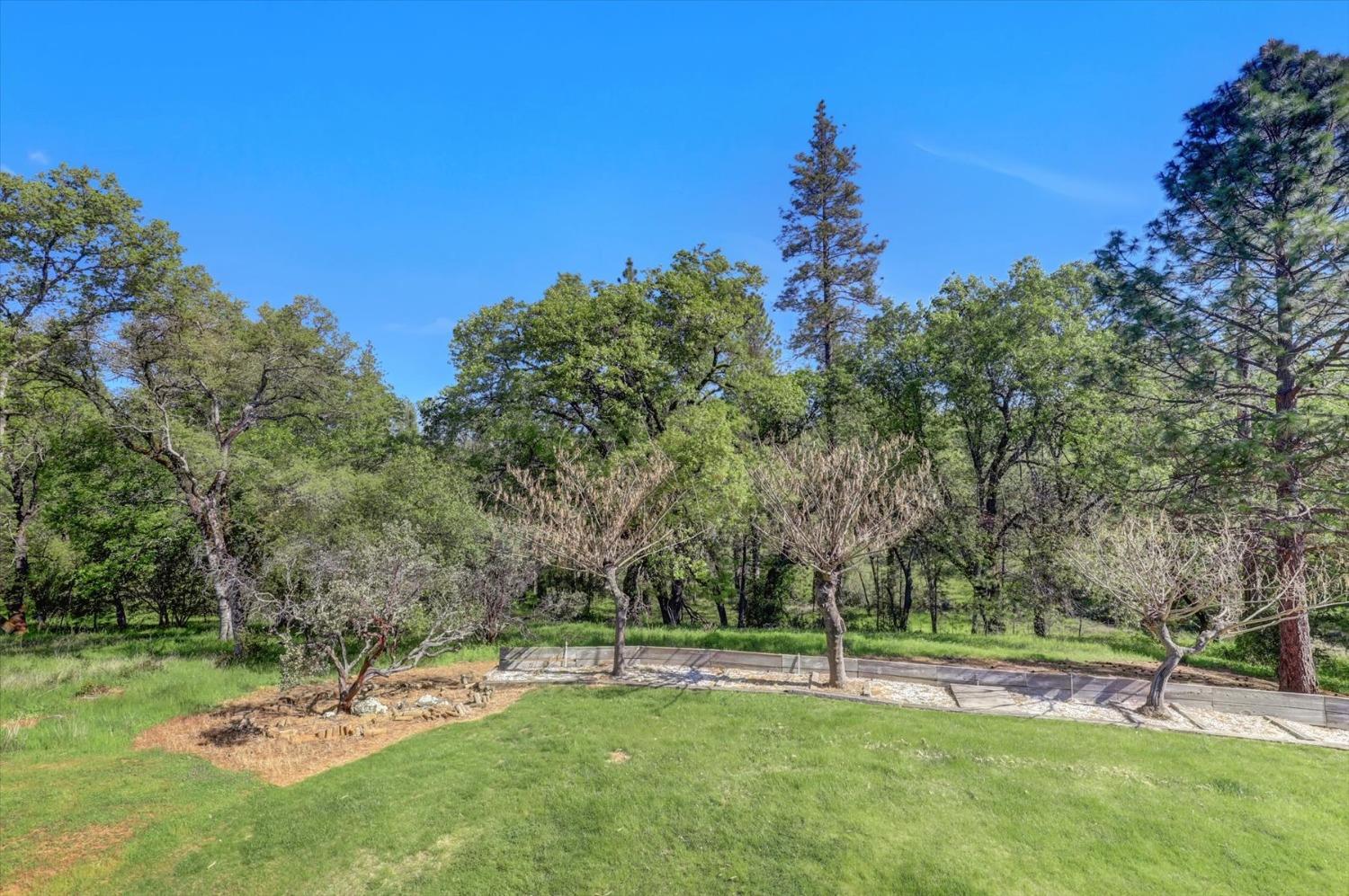 Detail Gallery Image 91 of 99 For 14508 Arrow Rd, Penn Valley,  CA 95946 - 3 Beds | 3/1 Baths