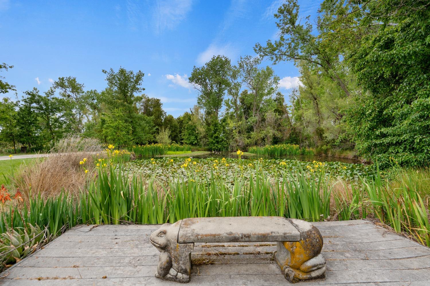 Detail Gallery Image 74 of 99 For 11516 Badger Valley Rd, Wilton,  CA 95693 - 4 Beds | 2/1 Baths