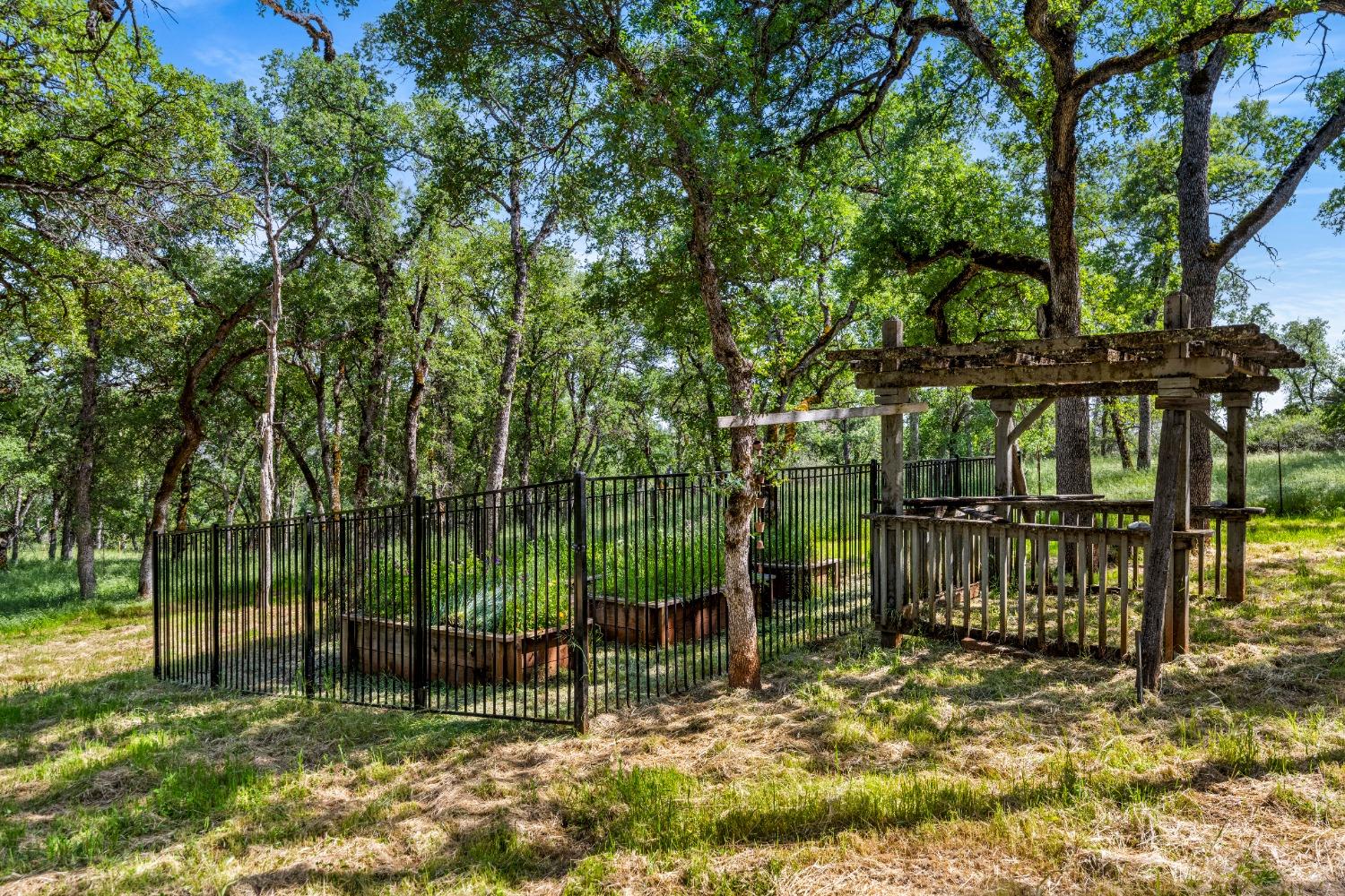 Burnt Oak Drive, Placerville, California image 37